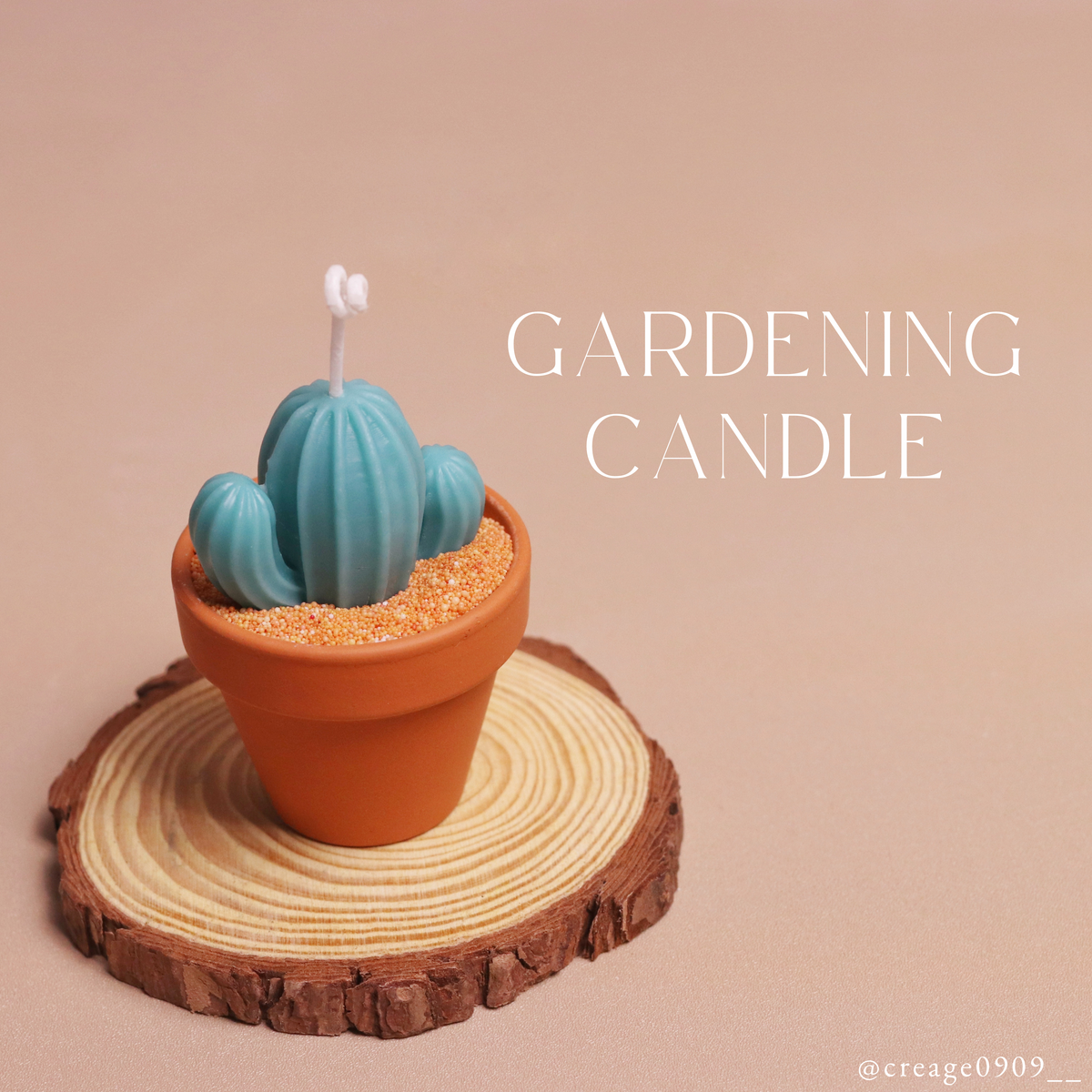 多肉植物蠟燭 ︱ Gardening Candle