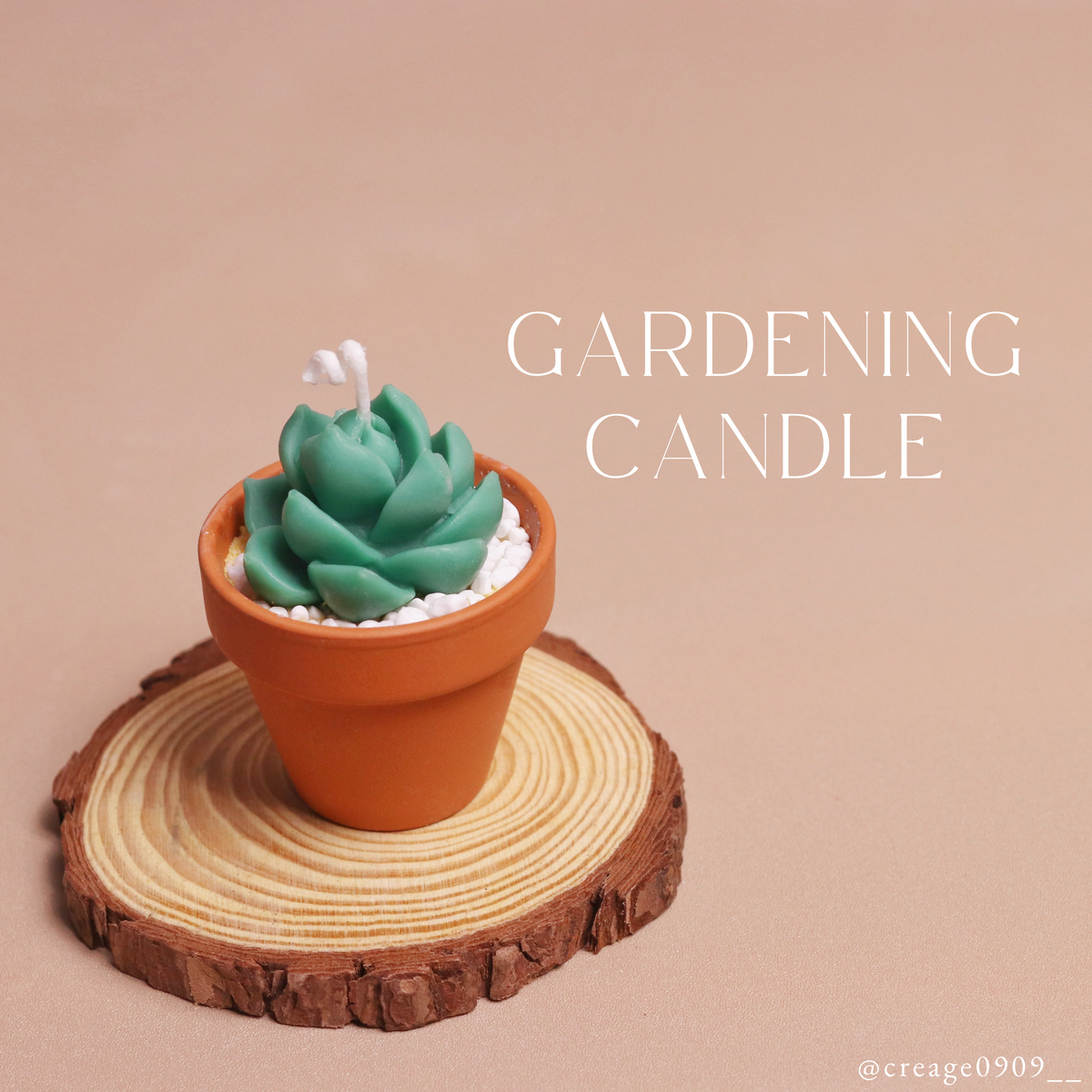 多肉植物蠟燭 ︱ Gardening Candle