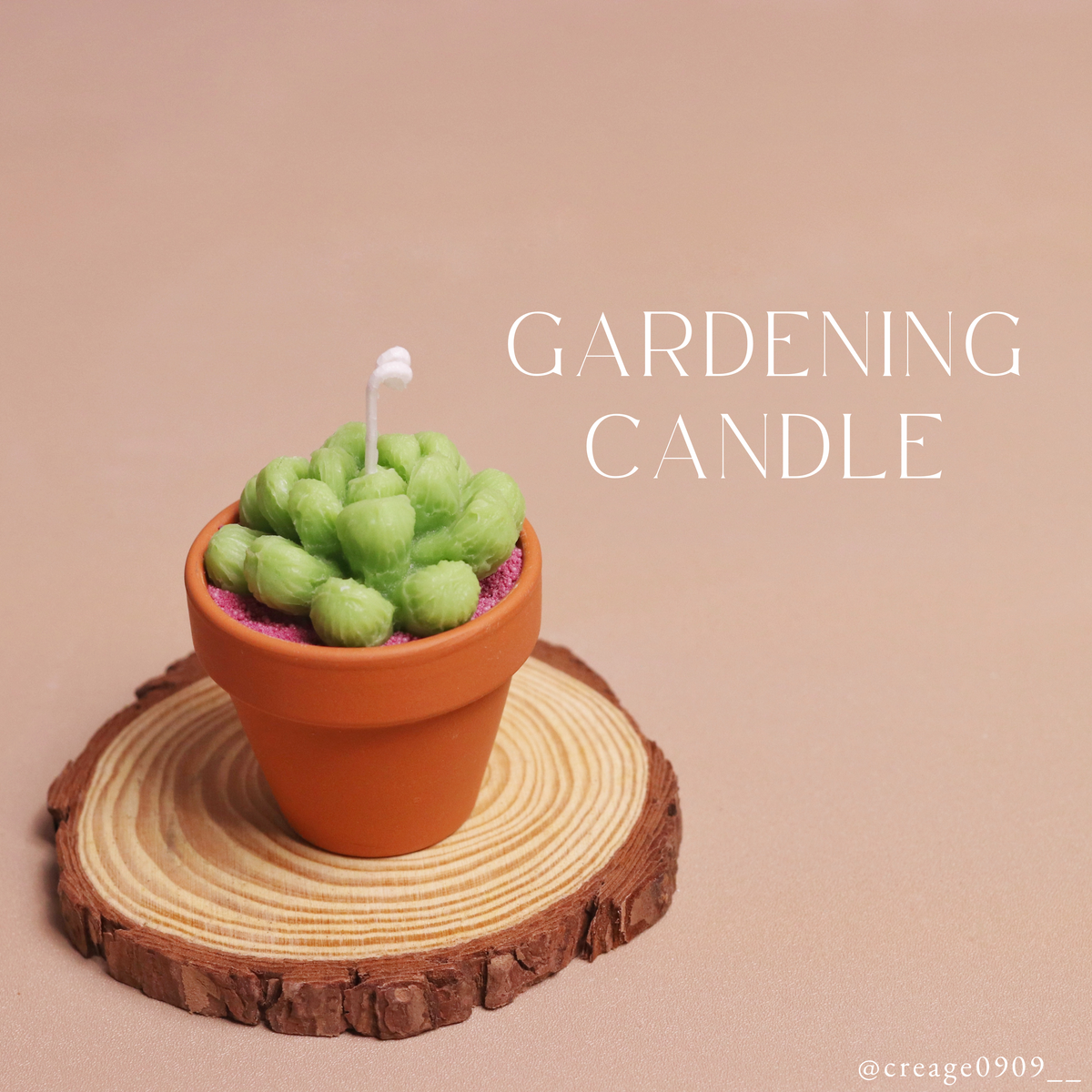 多肉植物蠟燭 ︱ Gardening Candle